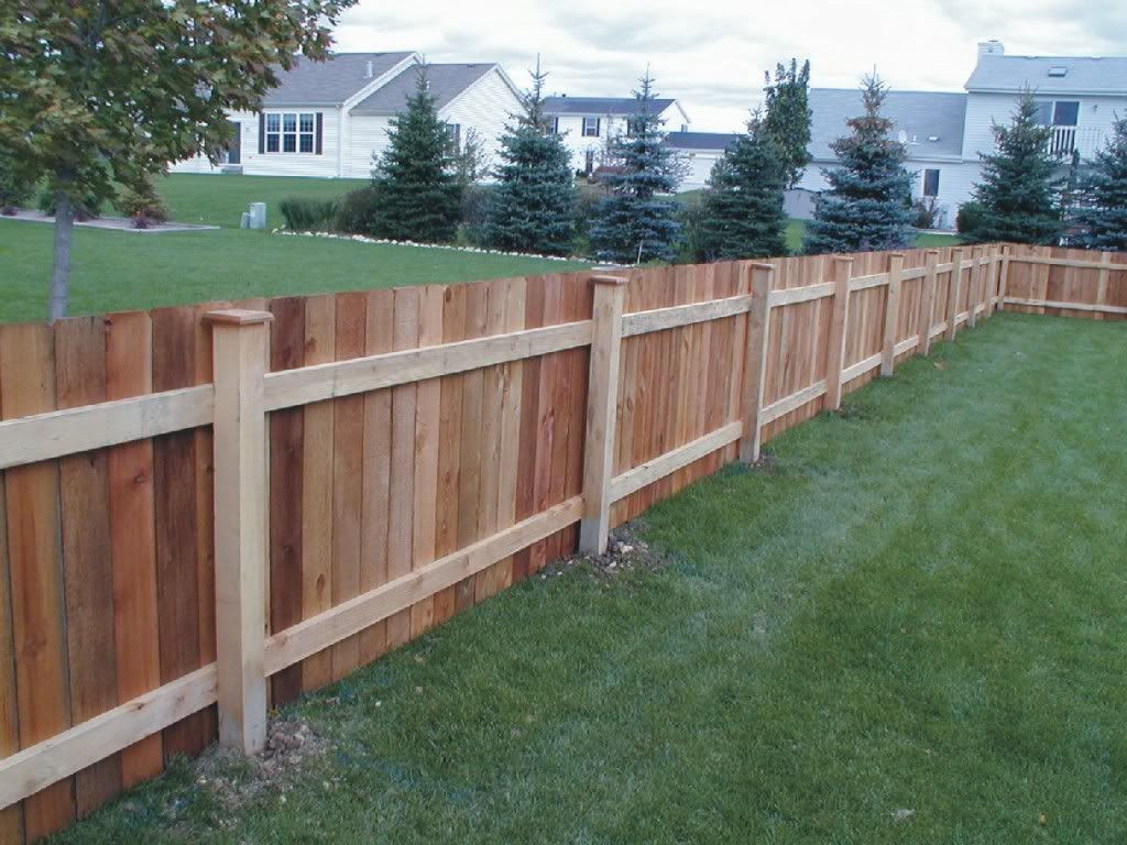 CEDAR FENCE