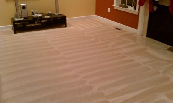 carpet cleaners comparison