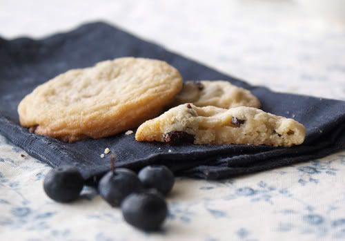 blueberries & cream
