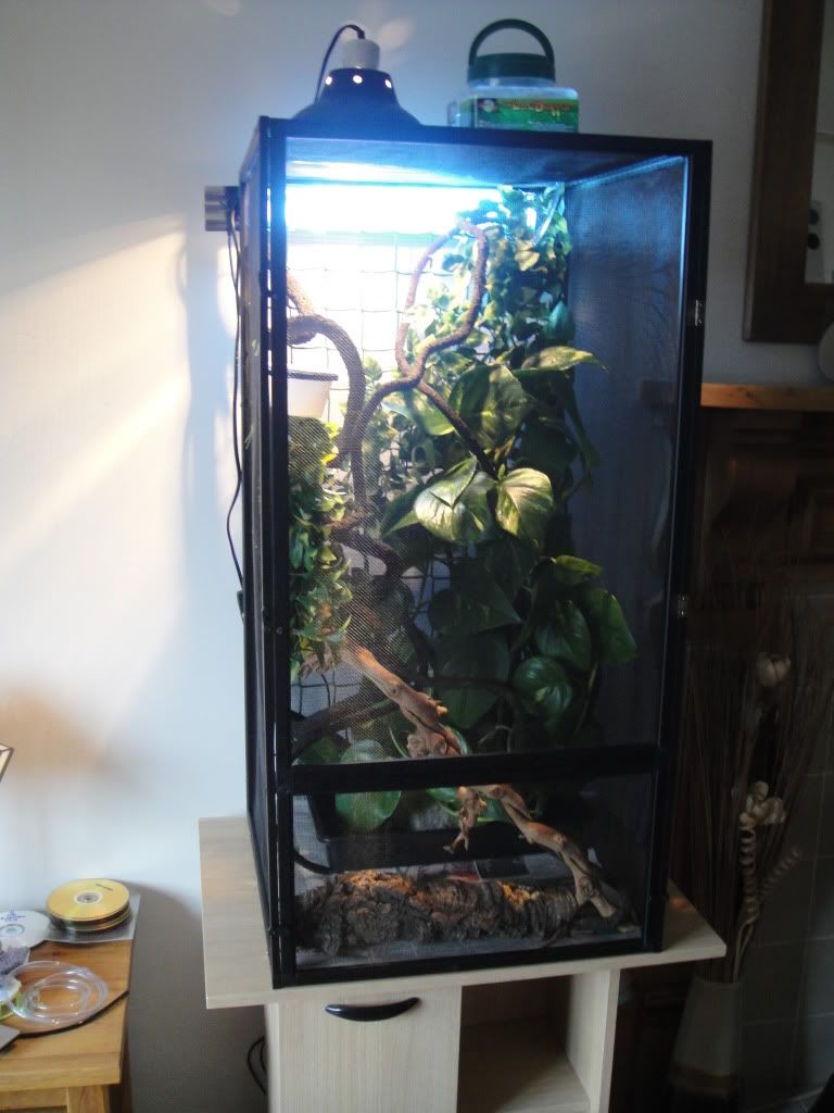 Your views on the Reptibreeze XL ? Reptile Forums