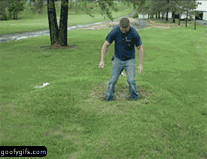 Gifs Gifs