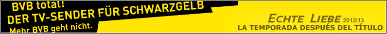 BannerNUEVATEMP.png