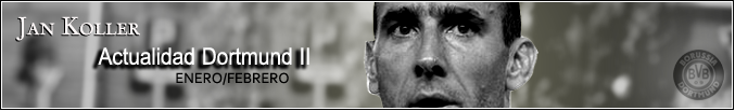 BannerJanKoller-3.png