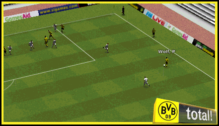 Juvenil-febrero.gif