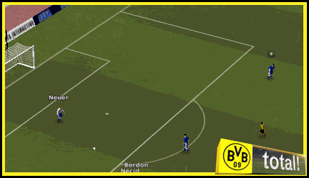 Zev-derbi.gif