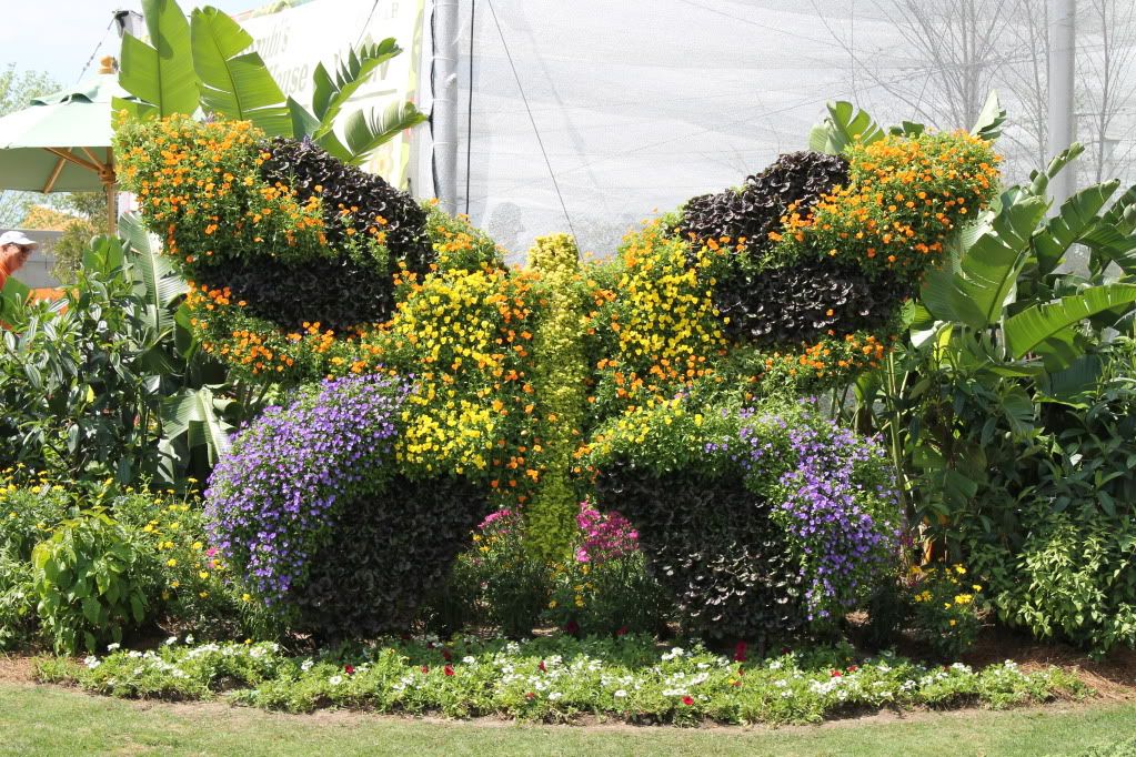 flowerandgardenfestival12012.jpg