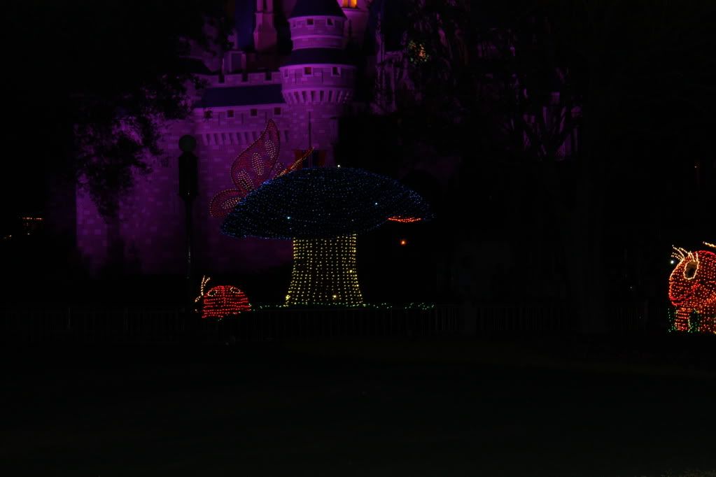 flowerandgardenfestival12085.jpg