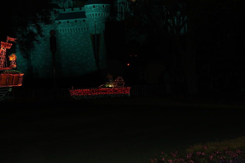 flowerandgardenfestival12097.jpg