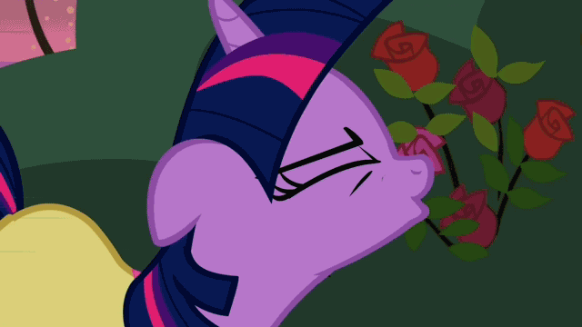 133279901714.gif