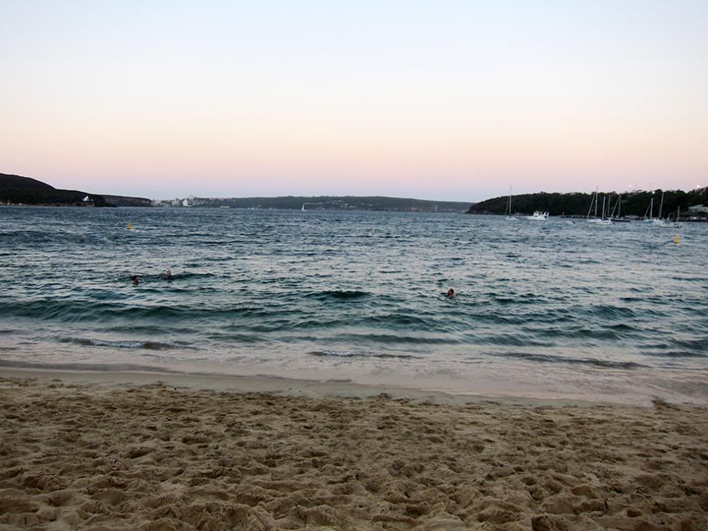  photo IMG_2384_zps67c1ff5d.jpg