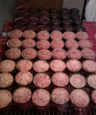 Cupcakes my friend Cathy baked for her daughter's first birthday
