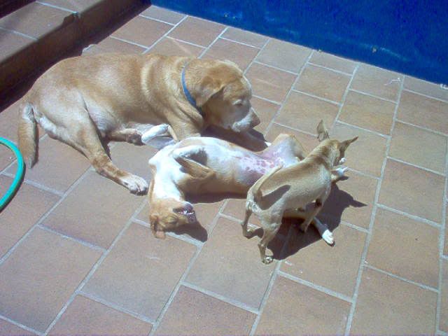 Imagem