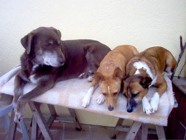 Imagem