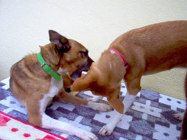 Imagem