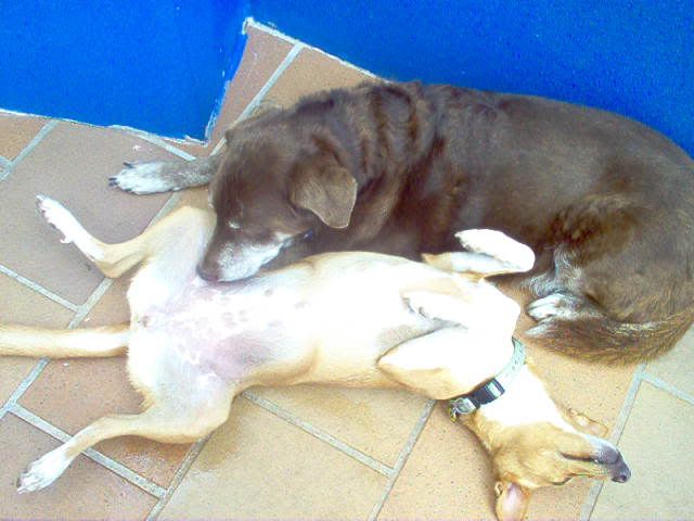 Imagem