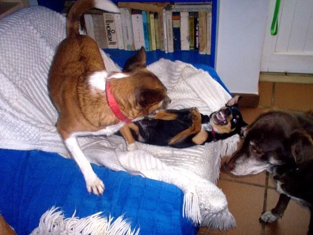 Imagem