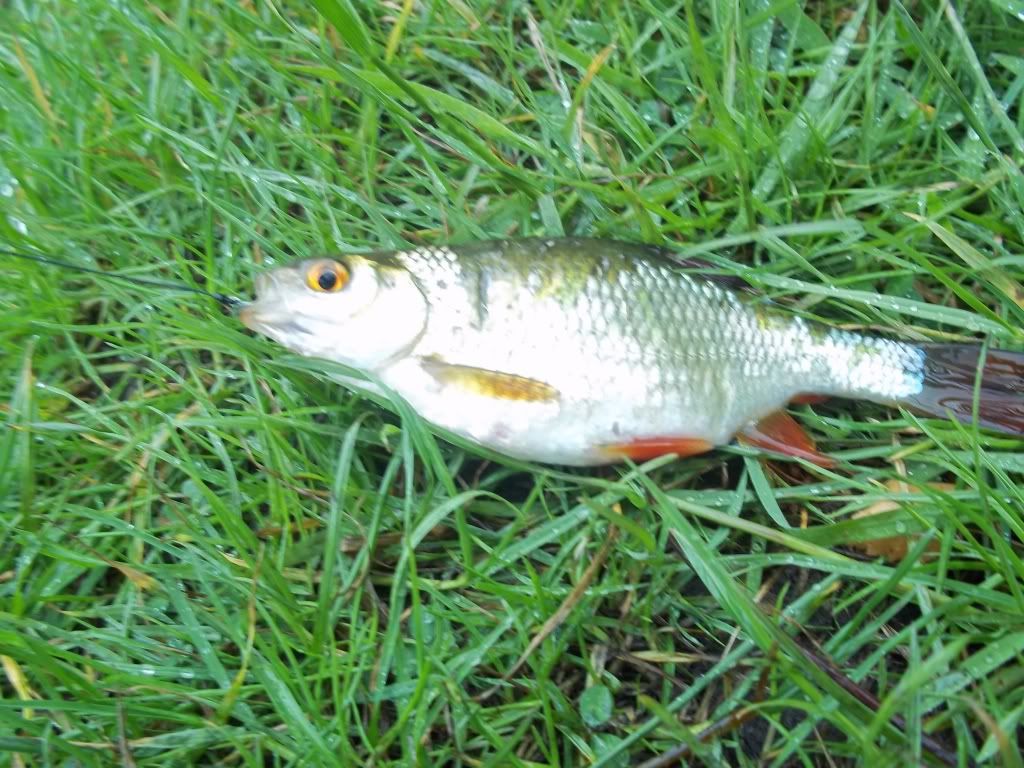 100_1440.jpg