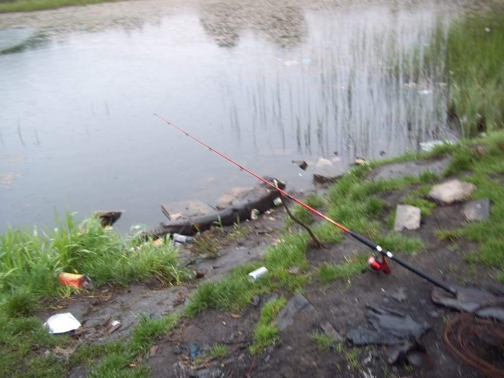 100_1444.jpg