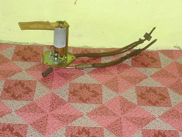 user posted image