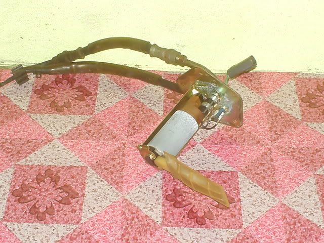 user posted image