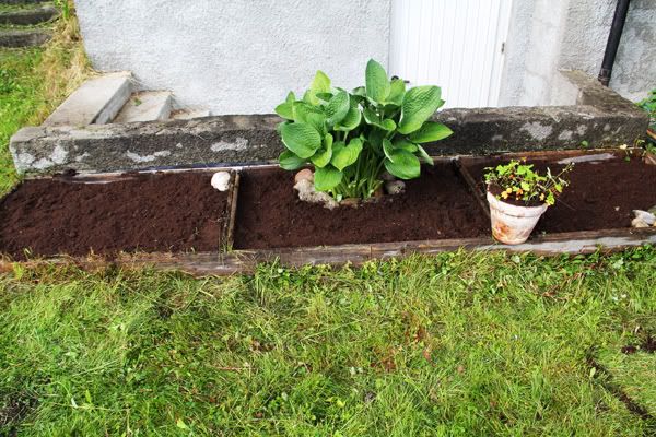 Blomsterbed