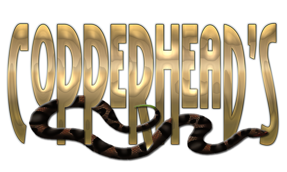 copperheadsbanner.png