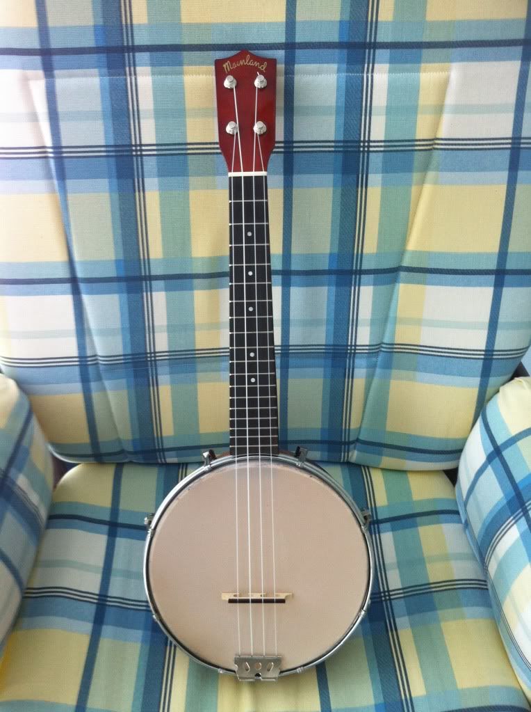 banjo3.jpg
