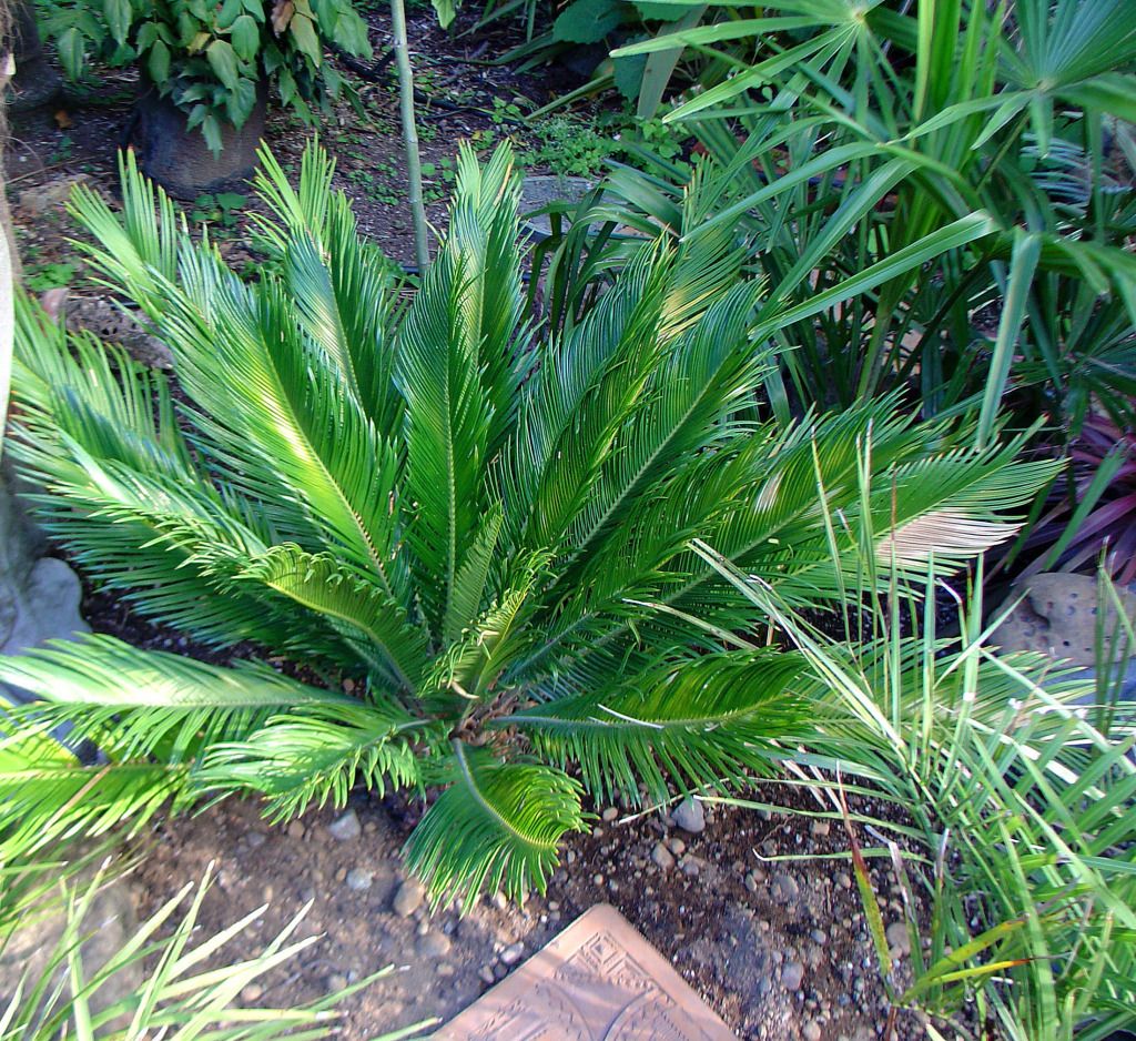 DSC00003-5.jpg