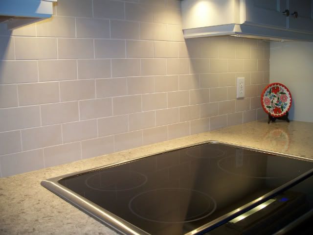 beautiful, functional E'lux induction range