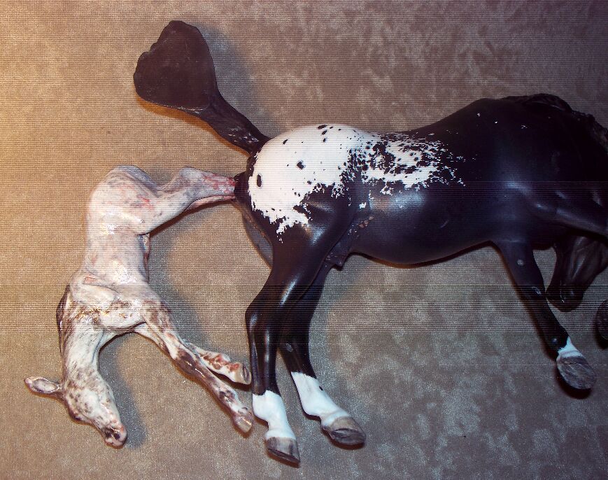 Breyer Repaint CM Appaloosa Mare Giving Birth Model Set Mare Foaling