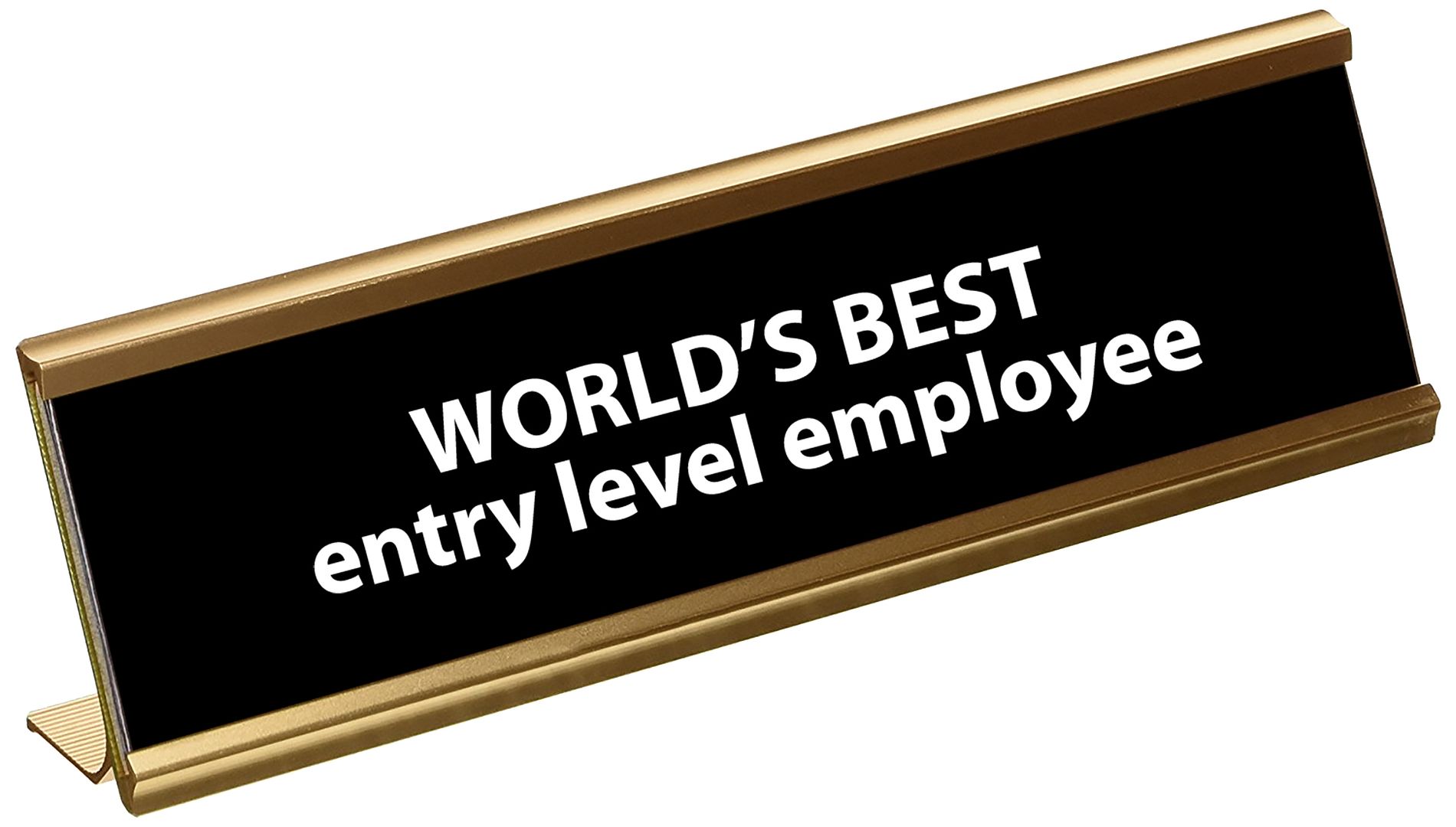 Funny Worlds Best Entry Level Employee Engraved Name Plate 