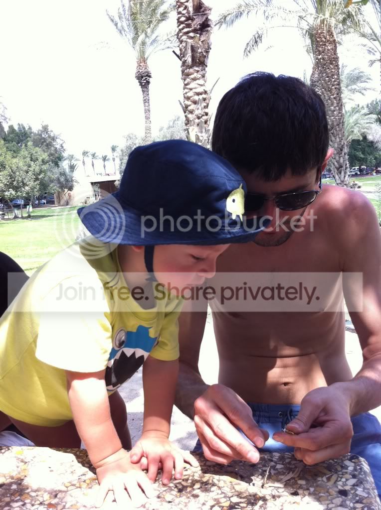 Photobucket Pictures, Images and Photos