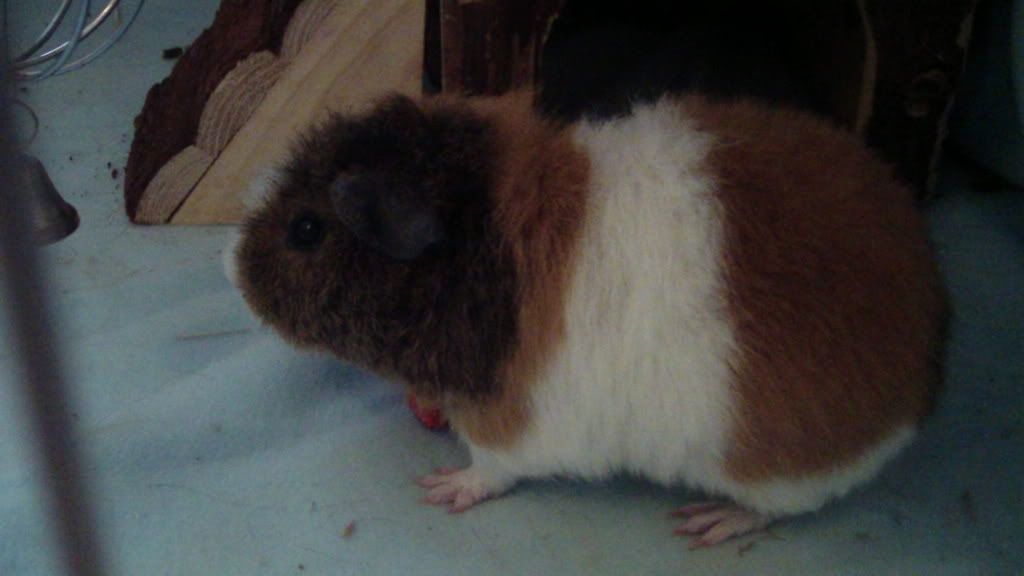 SAM_0048.jpg