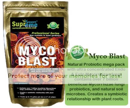 Myco Blast Mycorrhizal Roots Booster  